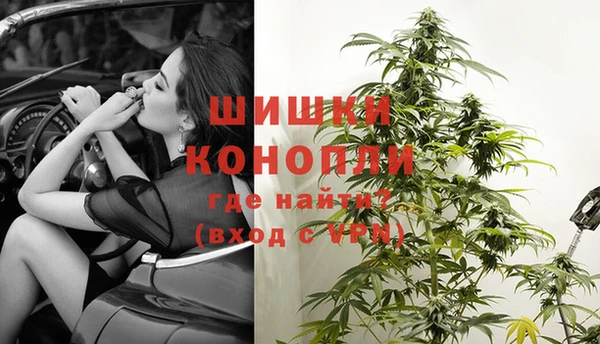 индика Вязники